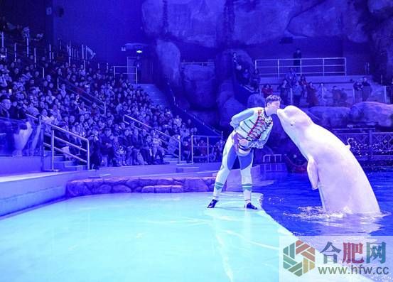 ΢�ňDƬ_20191204150537