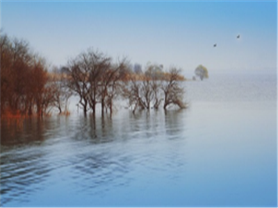 ���Տ]ꖶ�䁇��ҝ�ع��@